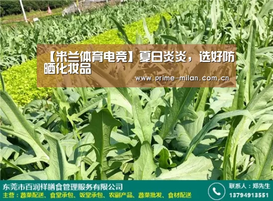 足球新闻