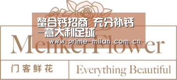 螯合钙招商 充分补钙-意大利足球(图1) 意大利足球