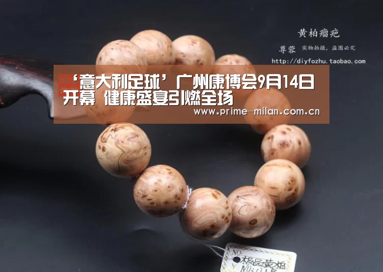 ‘意大利足球’广州康博会9月14日开幕 健康盛宴引燃全场(图2) 米兰体育电竞