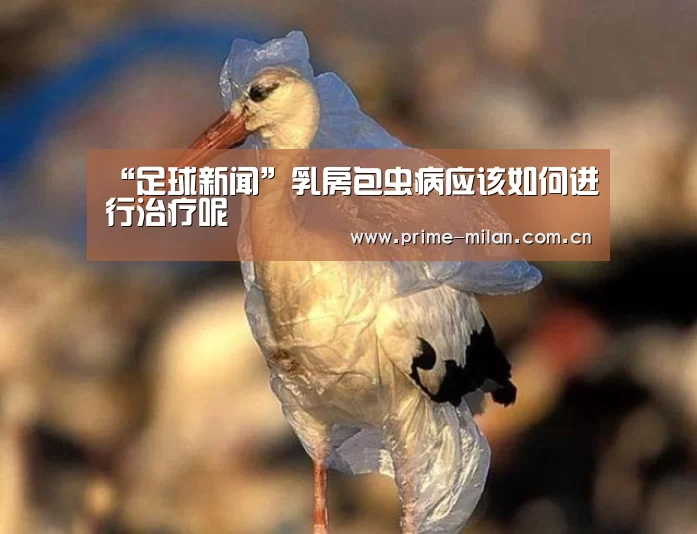 “足球新闻”乳房包虫病应该如何进行治疗呢(图1) 足球新闻