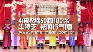 4倍浓缩60粒100%牛樟芝 祛风行气|意甲联赛(图1) 足球新闻